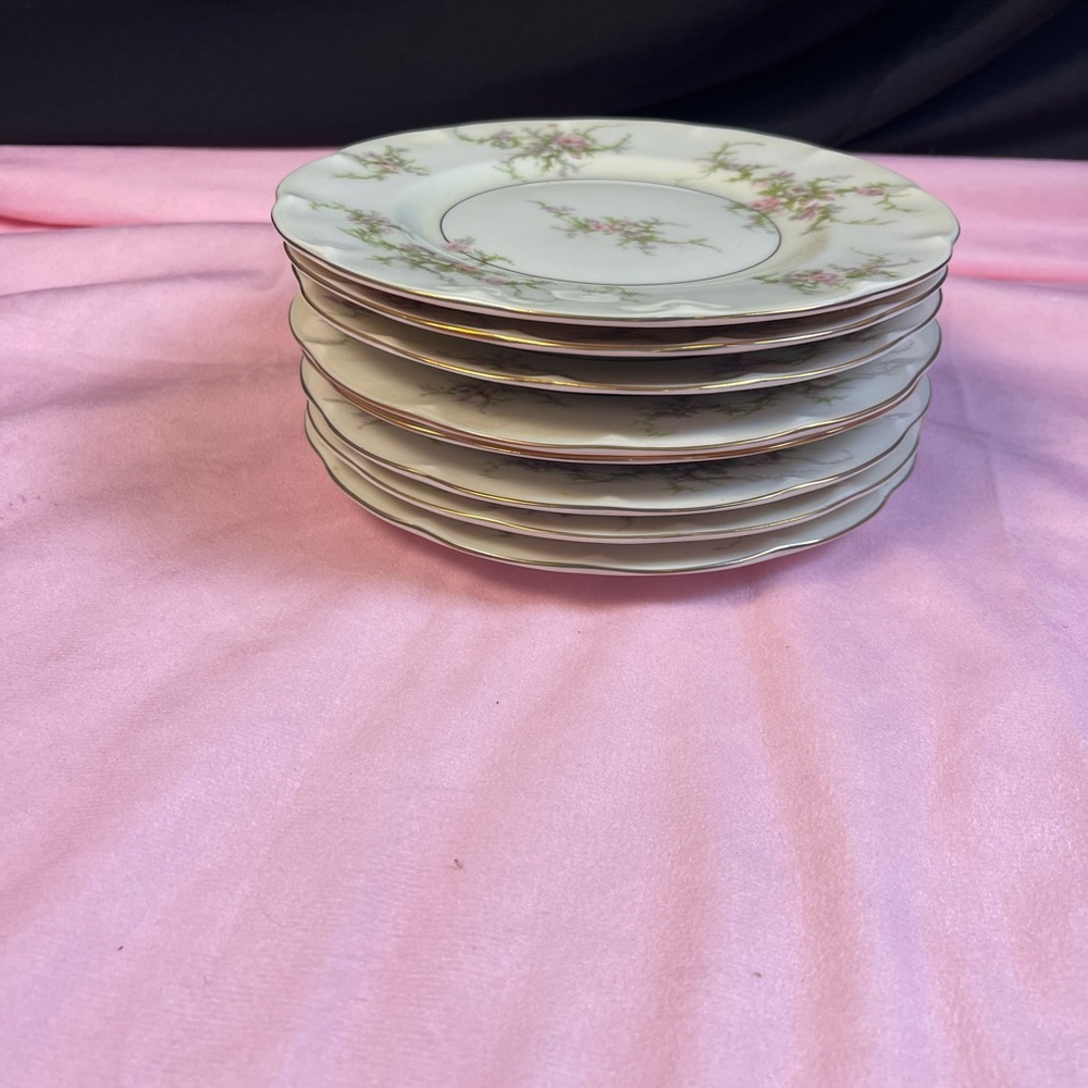8" Theodore Haviland Salad Plates Set of 7.